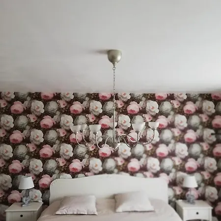 D'hotes Sandrine Louis 3* Phalsbourg